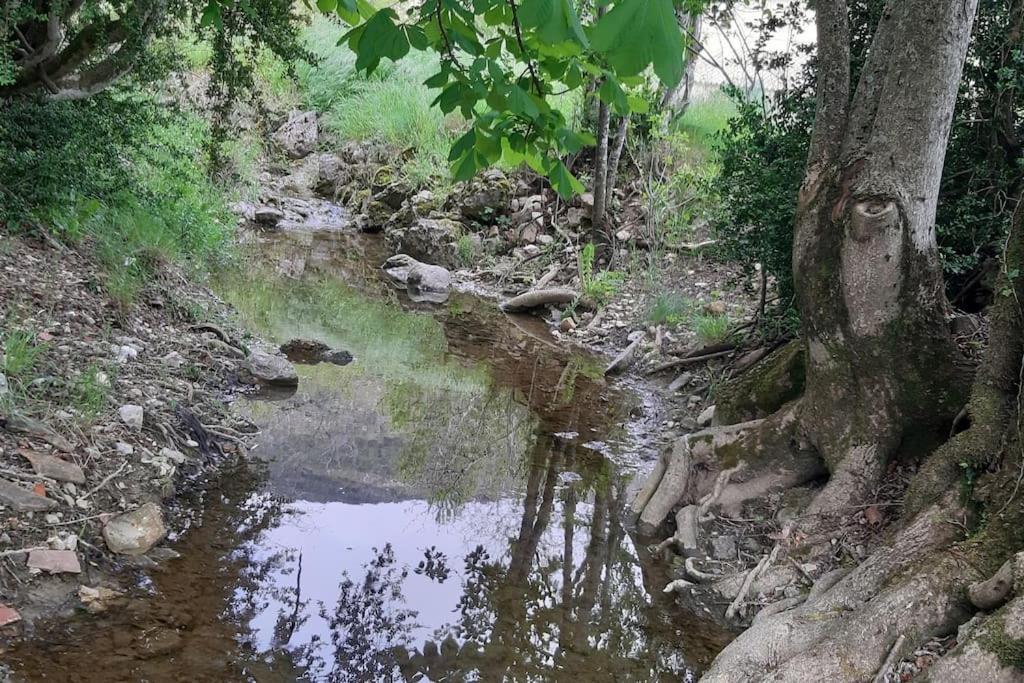 Studio Tout Confort Dans Maison De Caractere La Bastide  Exterior foto
